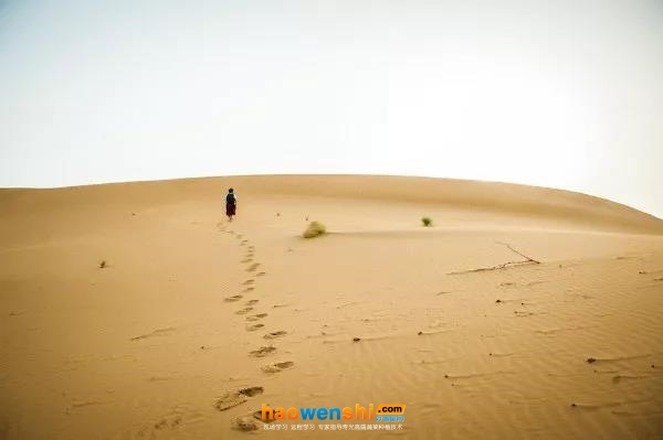 沙漠景觀.jpg 沙漠景觀.jpg