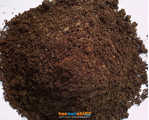草炭土.jpg 草炭土.jpg