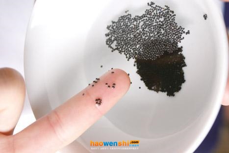 浸種 .jpg 浸種 .jpg