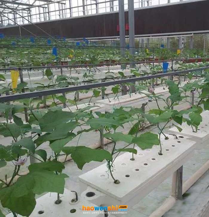 栽培箱.jpg 栽培箱.jpg