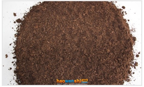 草炭.jpg 草炭.jpg