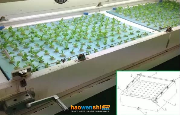升降式營養(yǎng)液栽培槽.jpg