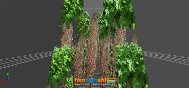 霧培1.jpg 霧培1.jpg