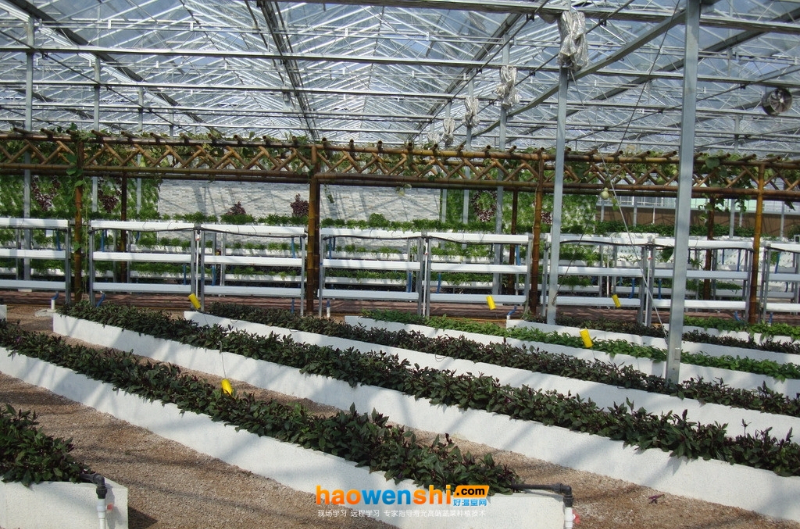 槽式栽培.jpg 槽式栽培.jpg