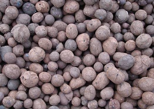 無土栽培陶粒.jpg 無土栽培陶粒.jpg