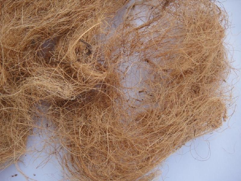 戳我試試 戳我試試