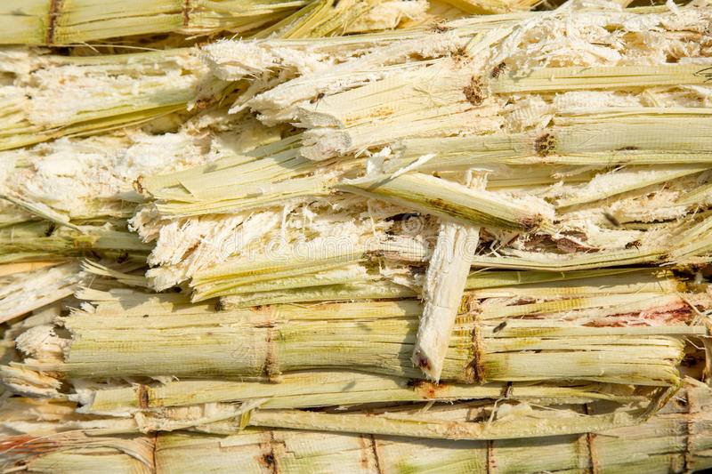 戳我試試 戳我試試