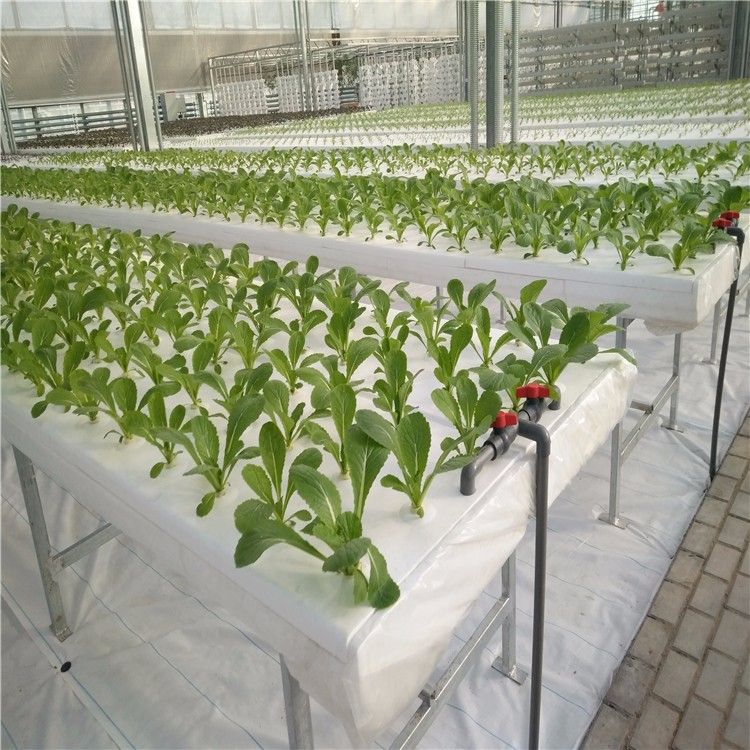 深液流技術(shù).jpg 深液流技術(shù).jpg