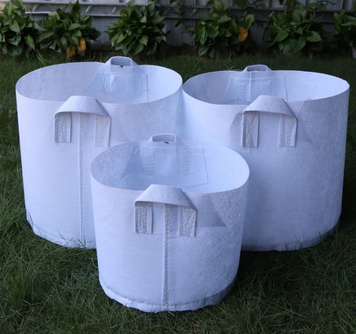 戳我試試 戳我試試