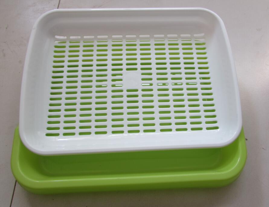 芽苗盤.JPG 芽苗盤.JPG