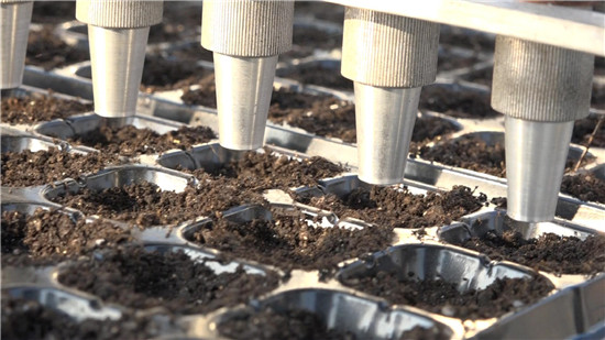 無(wú)土栽培穴盤(pán)播種.JPG