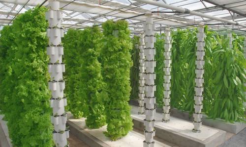 無土栽培立體垂直栽培.jpg 無土栽培立體垂直栽培.jpg