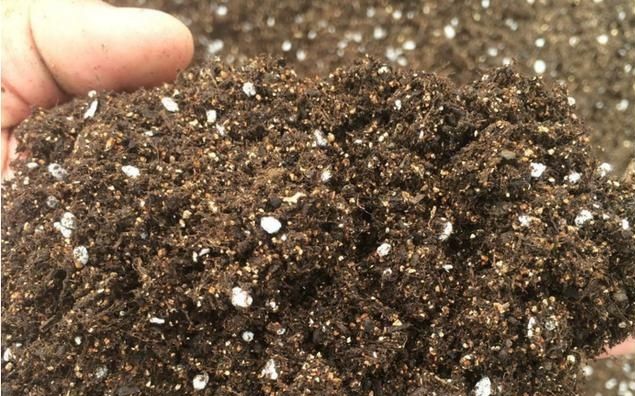 無(wú)土栽培基質(zhì)土.jpg 無(wú)土栽培基質(zhì)土.jpg