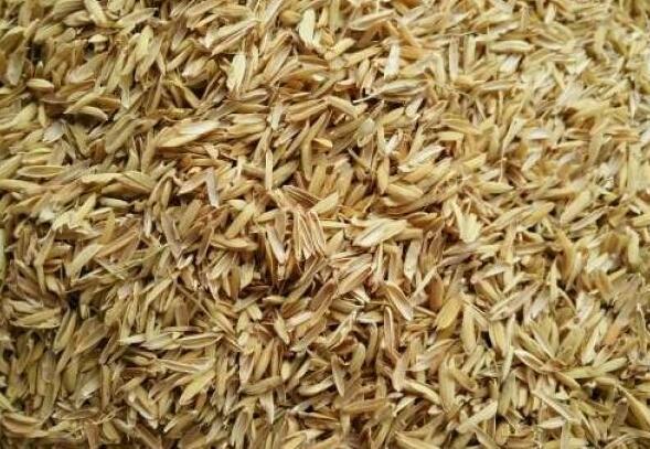 無(wú)土栽培稻殼.jpg 無(wú)土栽培稻殼.jpg