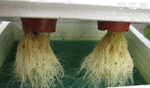 戳我試試 戳我試試