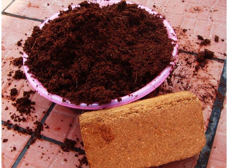 無(wú)土栽培基質(zhì)椰糠.jpg 無(wú)土栽培基質(zhì)椰糠.jpg