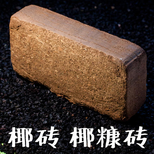 無土栽培椰糠磚.jpg