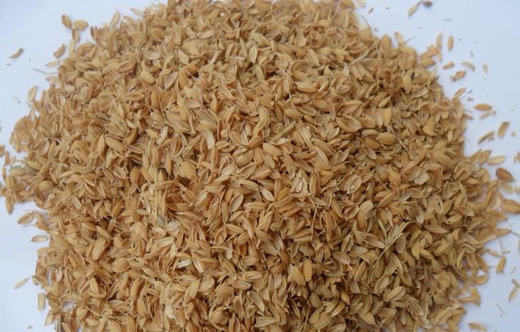 無土栽培基質(zhì)稻殼.jpg 無土栽培基質(zhì)稻殼.jpg