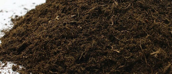 無土栽培基質(zhì)草炭.jpg 無土栽培基質(zhì)草炭.jpg