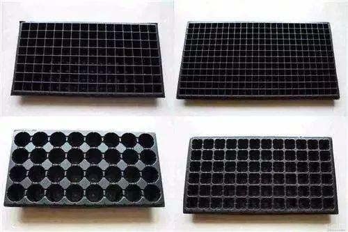 無(wú)土栽培穴盤.jpg 無(wú)土栽培穴盤.jpg