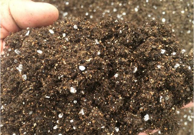 無土栽培基質(zhì).jpg 無土栽培基質(zhì).jpg