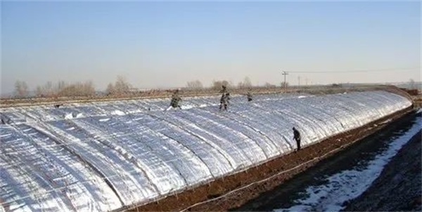 噴灑降溫劑的大棚 噴灑降溫劑的大棚