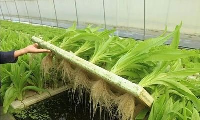 t0429224739cfac72ca.jpg t0429224739cfac72ca.jpg