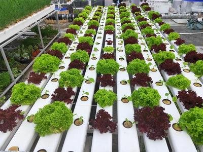 t044318cfc2ec6ea385.jpg t044318cfc2ec6ea385.jpg