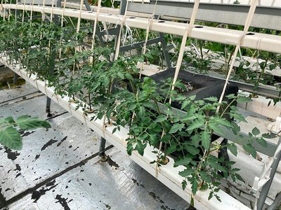 t0132b1e74fe2c5e960.jpg t0132b1e74fe2c5e960.jpg