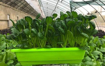 t012f42b50b14387897.jpg t012f42b50b14387897.jpg