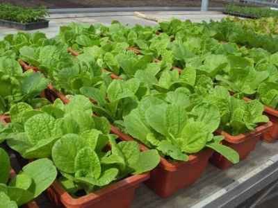 t01daaed72c26c26f35.jpg t01daaed72c26c26f35.jpg