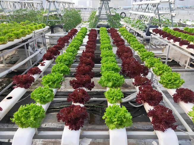 8b102e4e67b24b21b1f71b823e35d994_9.jpg 8b102e4e67b24b21b1f71b823e35d994_9.jpg