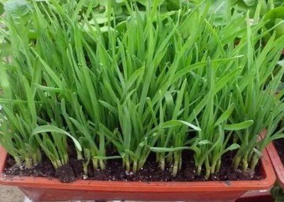 t01c06a48117605ae1c.jpg t01c06a48117605ae1c.jpg