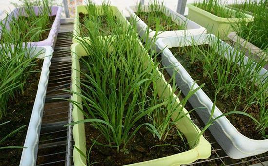 u=2816077503,1355375314&fm=173&app=25&f=JPEG.jpg u=2816077503,1355375314&fm=173&app=25&f=JPEG.jpg