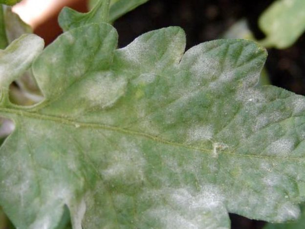 下載.jpg 下載.jpg