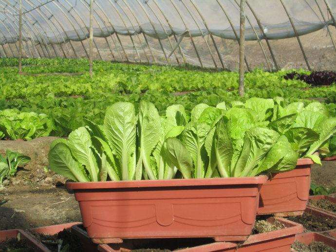 162847931.png 162847931.png