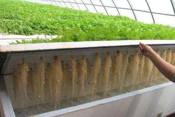 n4u2aacpbdo.jpg n4u2aacpbdo.jpg