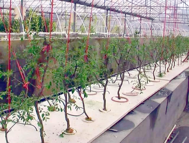 69d7f229f8e141ac9274d16e8a729275_th.png 69d7f229f8e141ac9274d16e8a729275_th.png