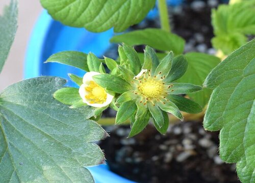 20210202171923164.jpg 20210202171923164.jpg