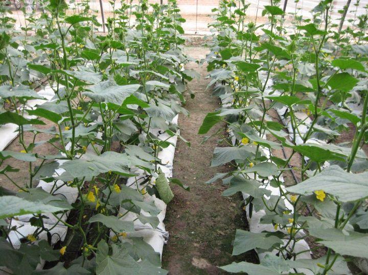 v2-09f0b47898a2cb512ec73cdef956beed_1440w.jpg v2-09f0b47898a2cb512ec73cdef956beed_1440w.jpg