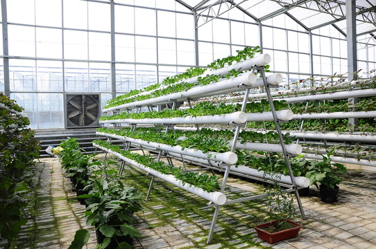 20150429131210700904_0.jpg 20150429131210700904_0.jpg