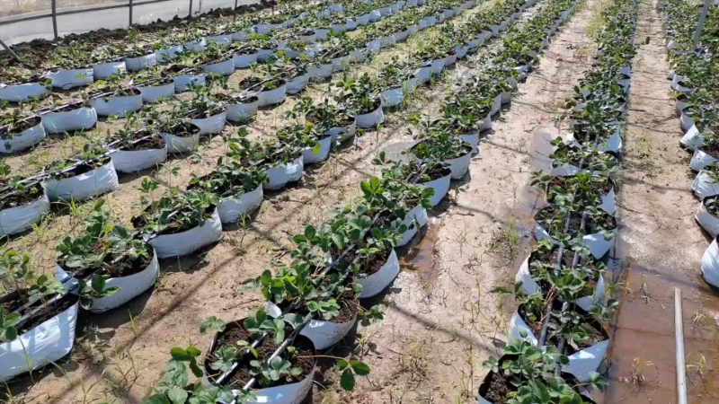 d75b357202ec4da4920edf37cc1ba3eb.jpg d75b357202ec4da4920edf37cc1ba3eb.jpg