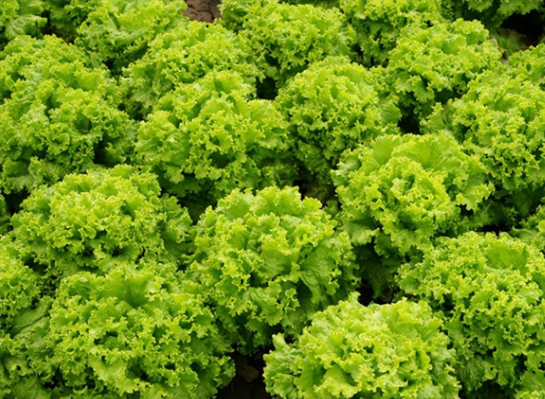 2023021705112544.jpg 2023021705112544.jpg