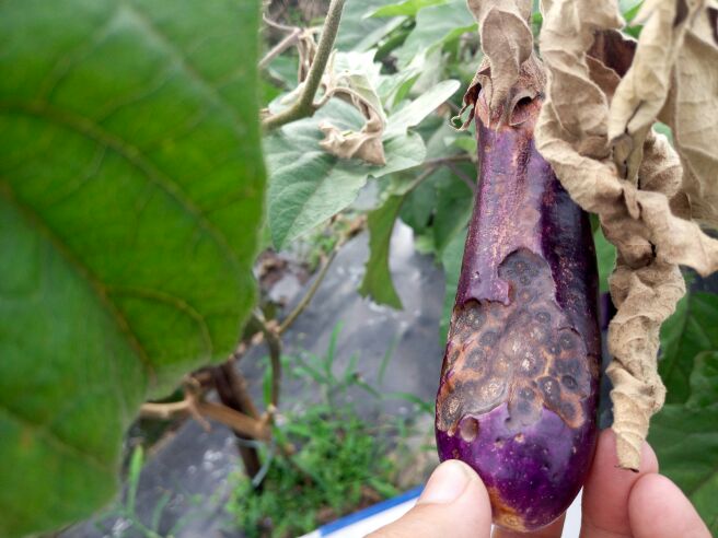 38aab27fe308f80fb66f02e3e03fb91d.jpg 38aab27fe308f80fb66f02e3e03fb91d.jpg