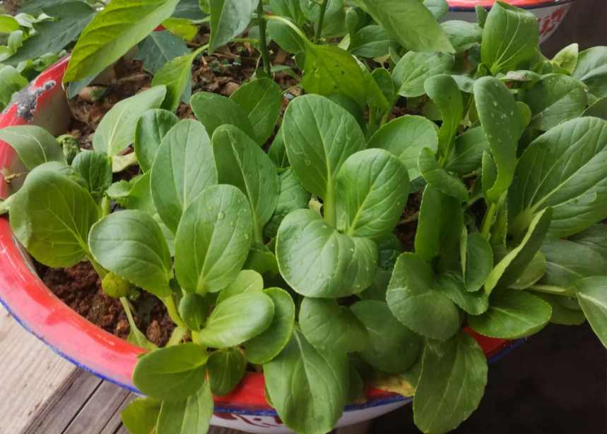 QQ20241007-091526.png QQ20241007-091526.png