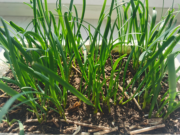 733f4947988b1ea4d2bf68ceda7fc9c9.png 733f4947988b1ea4d2bf68ceda7fc9c9.png