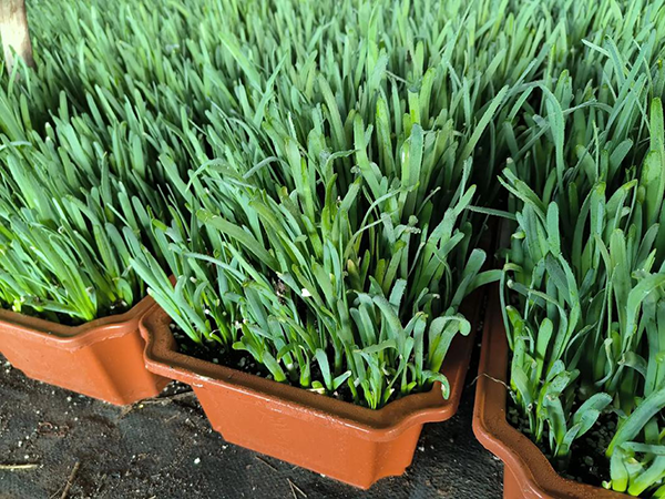 25c6e1d224c6481d385295df9fe55259.png 25c6e1d224c6481d385295df9fe55259.png