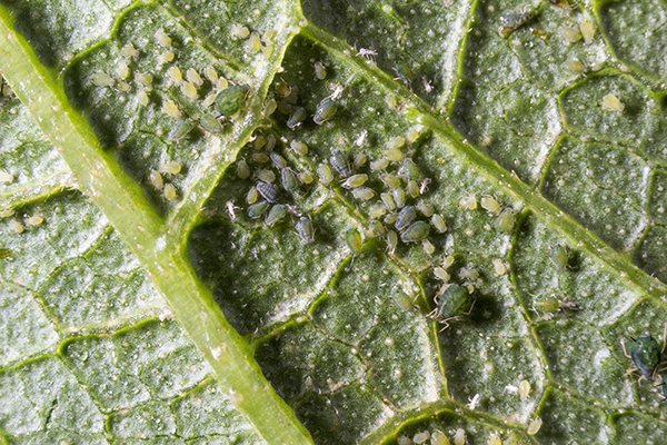 09fdcf5a69d3e7b8b973130b446d4fb6.png 09fdcf5a69d3e7b8b973130b446d4fb6.png